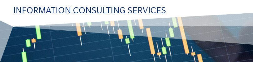 Information Consulting Services
