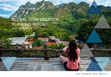Global Compensation Planning Report