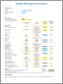 View sample executive summary