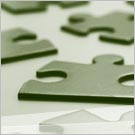 Pay Differentials within BRIC cover image