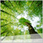 lifesciences
