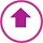 benefits survey standard plus icon
