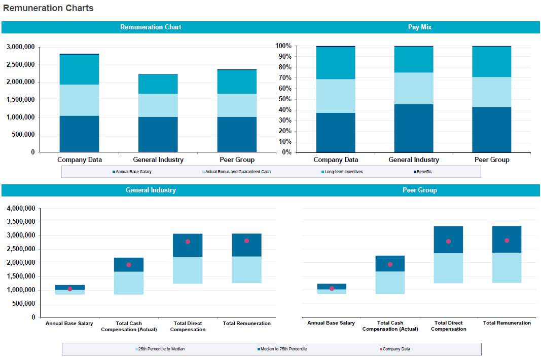 Executive Remuneration Audit Mercer executive-remuneration-audit-mercer