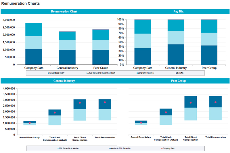 Side-by-side comparison of remuneration chart, pay mix data, general industry data, and peer group data for executive salaries and other competitive intelligence