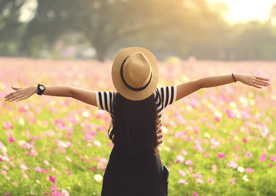 Global Compensation Planning Report image